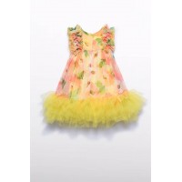 Φόρεμα με λουλούδια και τούλι Abel and Lula